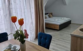 ORI Orange Studio Malul Mureșului